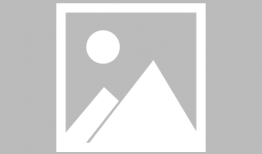 动漫组合,动漫组合的青春传奇